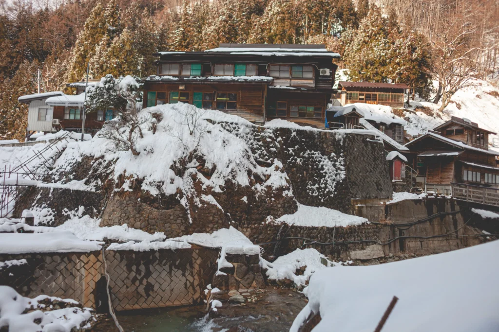 Akita
