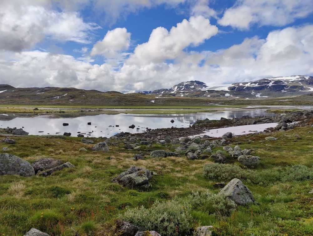 Finse, Vestland