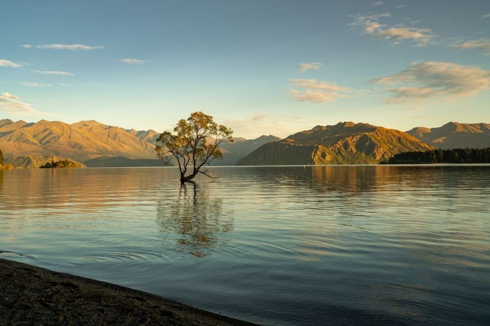 wanaka, otago new zealand